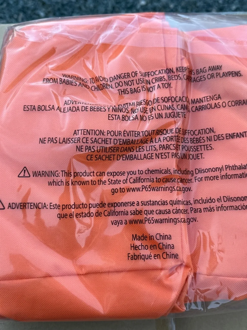 Haunted Living 25 Gal All-Purpose Storage Bag — Orange Halloween